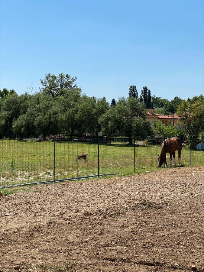 I Broletti Del Garda Hotel Pacengo Di Lazise Kültér fotó
